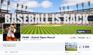 Bitchy Facebook Covers