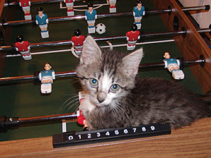 Caption Contest: What's Lexie Doing on the Foosball Table?