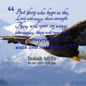 who hope in the lord will renew their strength they will soar on wings ...