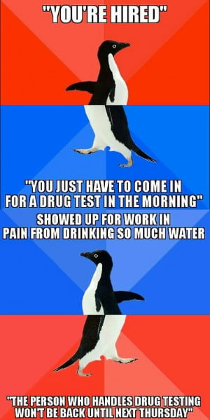 Drug tests on work