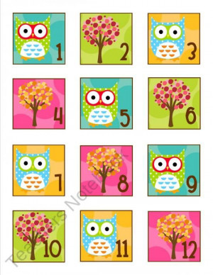 Teachers Notebook Owl calendar numbers