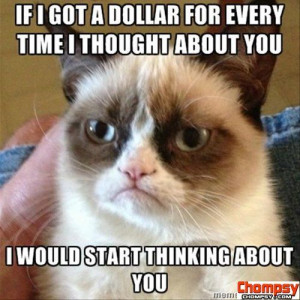 grumpy cat thoughts