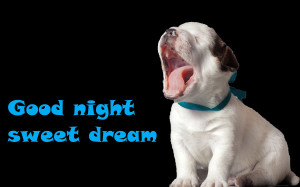 Good night (puppy yawning) funny