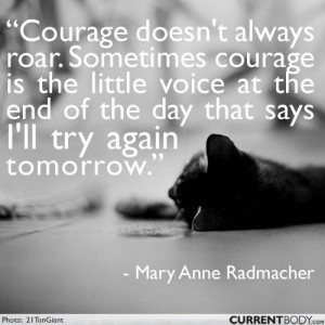 motivation #quote #kitten #perseverance