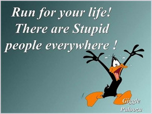 daily selection of quotes stupid people quote lol funny quote