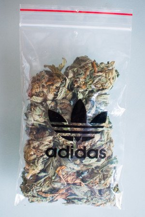 weed smoke blunt bong dank 420 bag hash stoner purple blunts simple ...