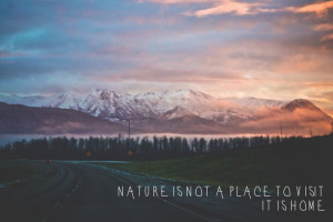 ... is not a place to visit it is home gary snyder # quotes # nature