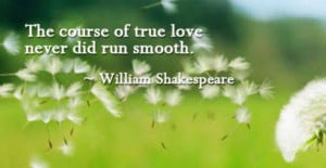 The Course of True Love Never did run Smooth