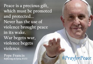 This entry was posted in Pope Francis on December 31, 2013 by Cammy .
