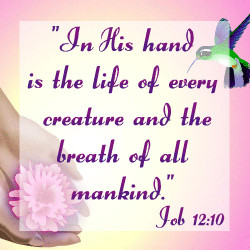 God-The creator God quotes