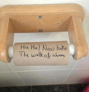 Funny toilet paper facebook status update