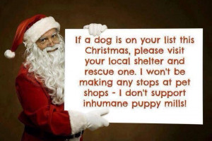 Don't Support Inhumane Puppy Mills