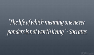 The life of which meaning one never ponders is not worth living ...