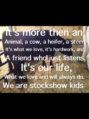 pig livestock show quotes
