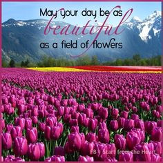 Beautiful Pictures Of Flowers With Quotes Field, florist quotes ...