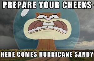 hurricane sandy funny pictures (8)