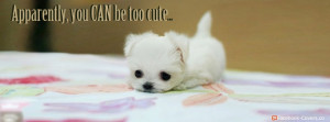 Too Cute Puppy Facebook Cover Photo