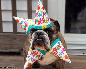 Happy_Birthday_Dog