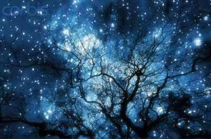 Full Moon and Starry Night