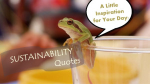 Sustainability quotes