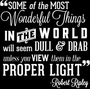 Atlantic City Robert Ripley's View Them