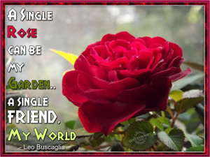 single rose can be my garden... A single friend, my world