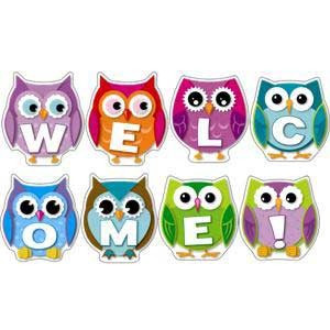 Colorful Owl Welcome Bulletin Board