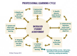 pro-learning-cycle
