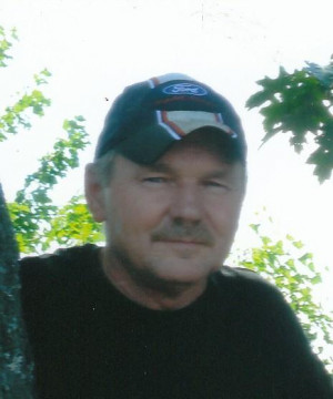 John Gould The Spotted Harrier