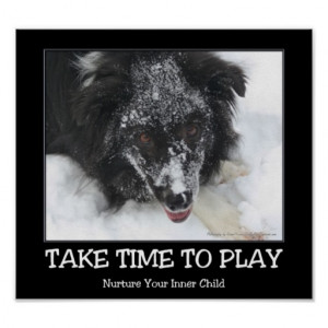 take_time_to_play_border_collie_inspirational_poster ...