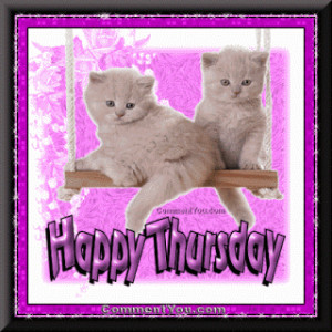 Happy Thursday Everyone