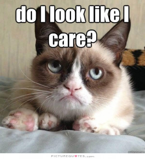 ... Quotes Grumpy Cat Quotes I Dont Care Anymore Quotes I Dont Care Quotes