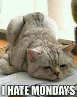 Pinned by Shelly Sponseller