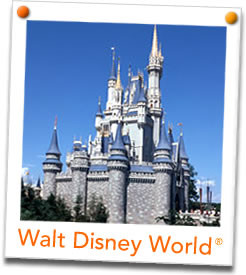 ... more about walt disney world how can small world vacations help me