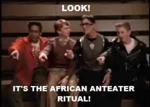 It's the African Anteater Ritual!!!