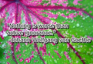 Special Ignorance Quotes Nothing Is Worse Than Active Ignorance.