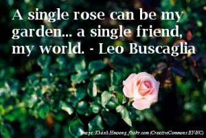 woman whose smile is open and whose expression is glad has a kind of ...