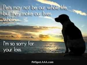 ... : [url=http://www.tumblr18.com/sorry-for-your-loss-dog-sympathy