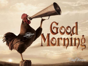 Use this BB Code for forums: [url=http://www.imgion.com/cock-a-doodle ...