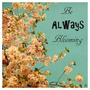 ... blossoming ~ BLOOM WHERE YOU'RE PLANTED ~ Spring ~ Blossom ~ Alive
