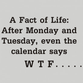 Fact Of Life Wtf Funny Monday Office Shirt
