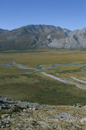 ... Arctic National Wildlife Refuge would become Wilderness! USFWS photo
