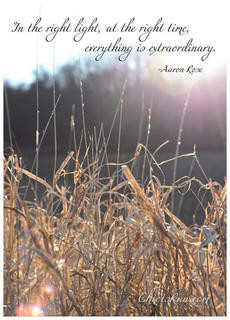 Inspirational Nature Quotes (large)
