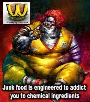 food junk ie n pl food junk ies slang 1 an artificial chemical ...