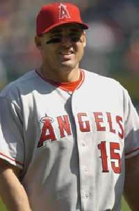 Tim Salmon Pictures