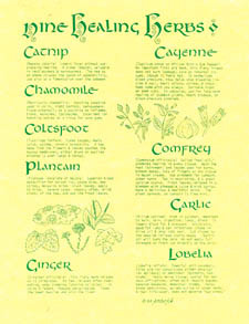 Herbs in Wicca Wiccan/Pagan Prayers Animal Spirits Quote ...