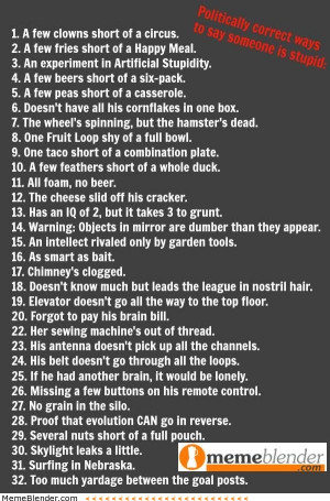 Politically correct ways to say someone is stupid