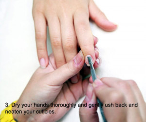 Funny Quotes Contact Us DMCA Notice