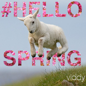 Hello Viddy Fam,Yesterday was the first day of Spring. Here in the ...