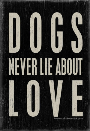 Rover 99 - *Dogs Never Lie | Poster